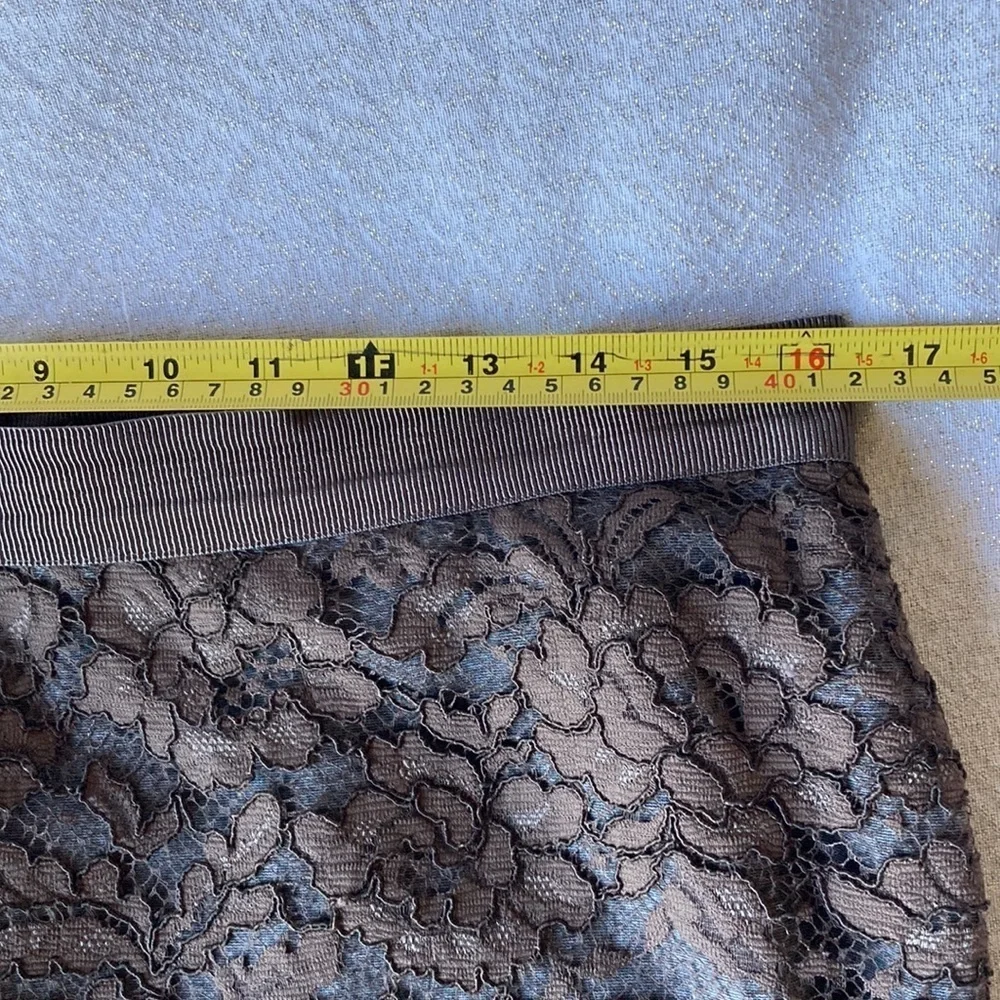 Ann Taylor loft lace skirt size 10